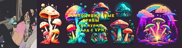 марки nbome Вяземский