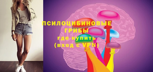 a pvp Вязники