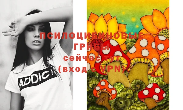 a pvp Вязники